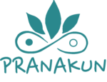 logo pranakun